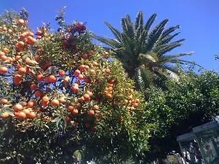 Hotel Le Grand Cap Roquebrune-Cap-Martin 3*,  Francja